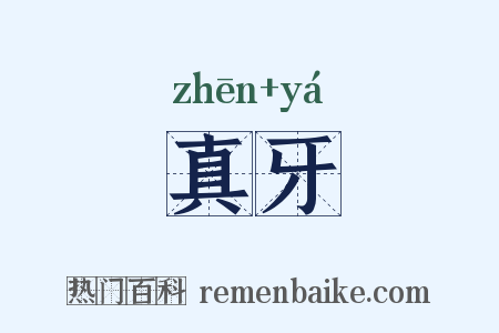 真牙是什么意思的图片